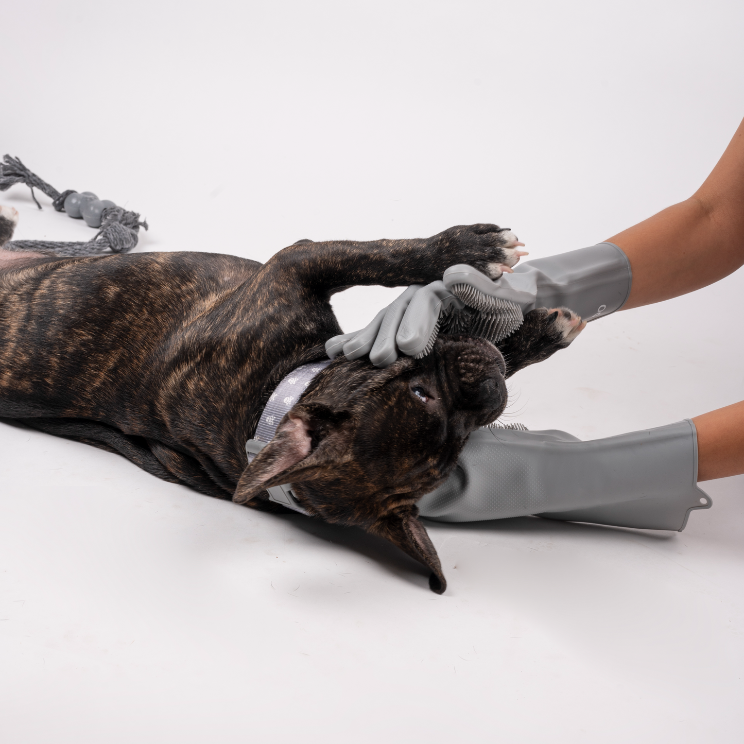Guantes de Baño para Mascotas